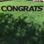Alquiler - Yard Sign 24" - Black