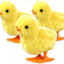 Happy Runner Chick (x1u)