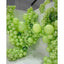 Kalisan 5” Macaron Pistachio Latex Balloon (50pcs)