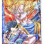 Mantel Plástico Dragon Ball Z (1.20 x 1.80)
