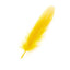 Plumas Amarillas Grandes