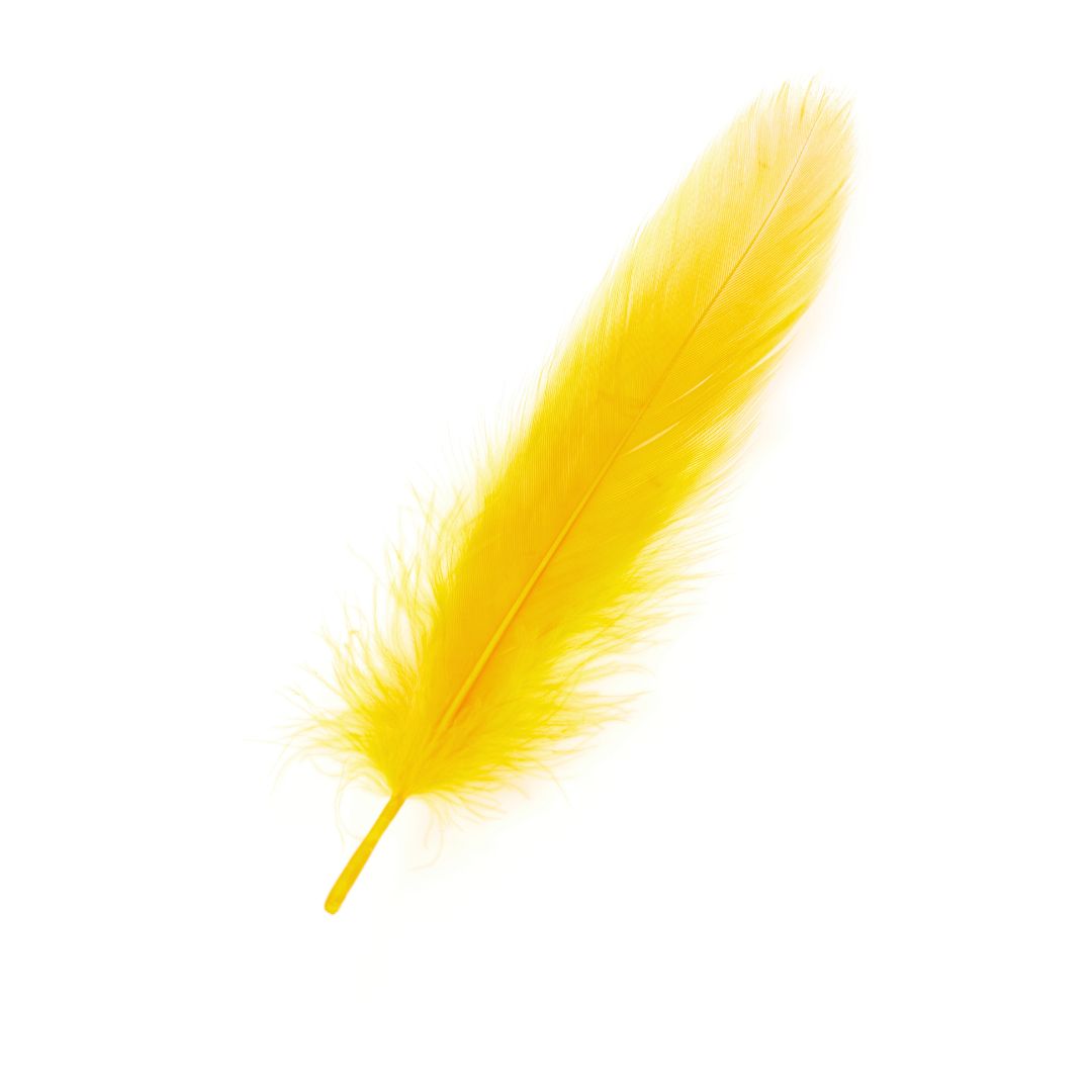 Plumas Amarillas Grandes
