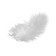 Plumas Chicas Blancas