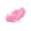 Plumas Chicas Rosas