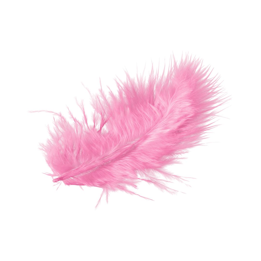 Plumas Chicas Rosas