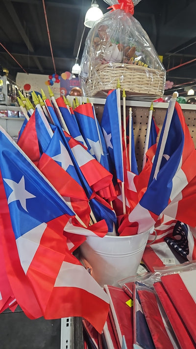 Bandera Puerto Rico (12"x18")