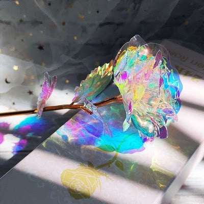 Flor San Valentin - Rosa Blanca