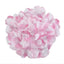 Petalos de Rosa 1100pcs