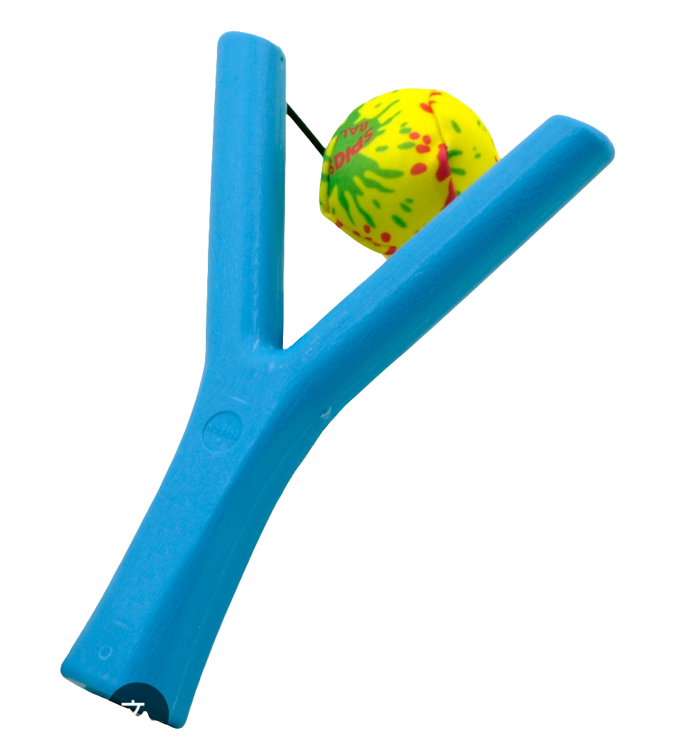 Sport Game, Onda