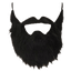 Costume Beard and Mustache