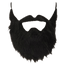 Costume Beard and Mustache