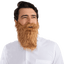 Full Beard with Mustache