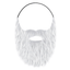 Costume Beard and Mustache