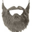 Costume Beard and Mustache