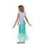 Asha Wish Costume