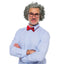 Old Man Wig for Adults