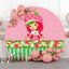 Alquiler - Strawberry Shortcake Backdrop Kit (Solo Pick Up)