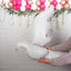 Dove in White Foil Balloon