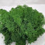 Musgo Seco 1oz