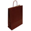 Paper Bags with Handles for Favors & Gifts 15¾" XL (Pack x12u)