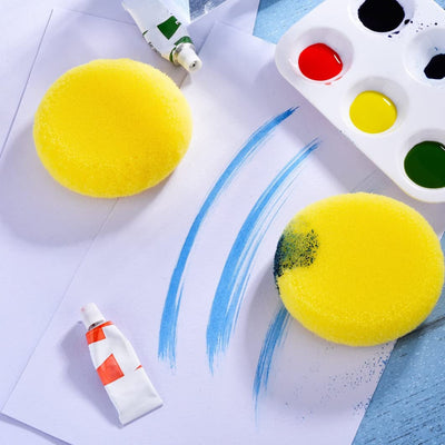 Paintng Brush Sponge 2pack
