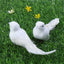 Paloma Decorative 8" 1pcs