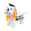 Kit Perro de Graduación (x1u)