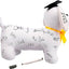 Kit Perro de Graduación (x1u)