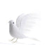 Paloma Decorative 11" 1pcs