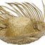Pava Mediana 4" 1pcs