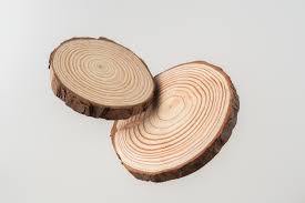 Slices Wood 4.5x0.5cm 3pcs