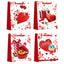San Valentine Gift Bag (x1u)