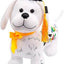 Kit Perro de Graduación (x1u)