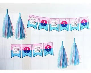 Gender Reveal Banner Set 1pc