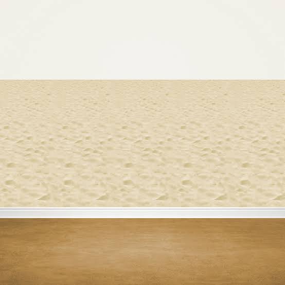 Beach Backdrop 30 Ft.