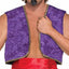 Desert Prince Purple Genie Vest Men Costume Standard