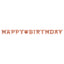 Blush Birthday Letter Banner
