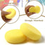 Paintng Brush Sponge 2pack