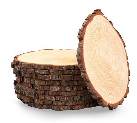 Slices Wood 13-14 x 0.5cm 1pc