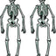 Halloween Skeleton 22" (x2u)