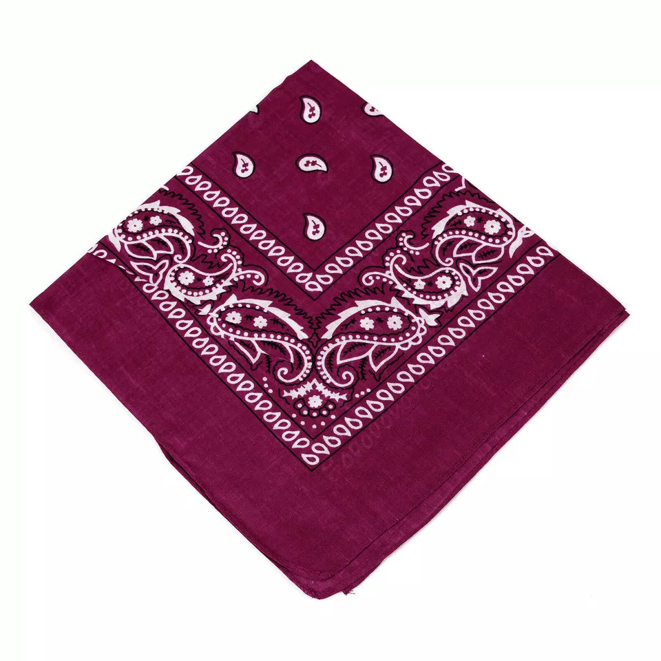 Bandanas (x1u) - Todos los colores