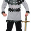 Knight Kids Costume