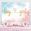 Simple Boy or Girl Gender Reveal Backdrop (x1u)