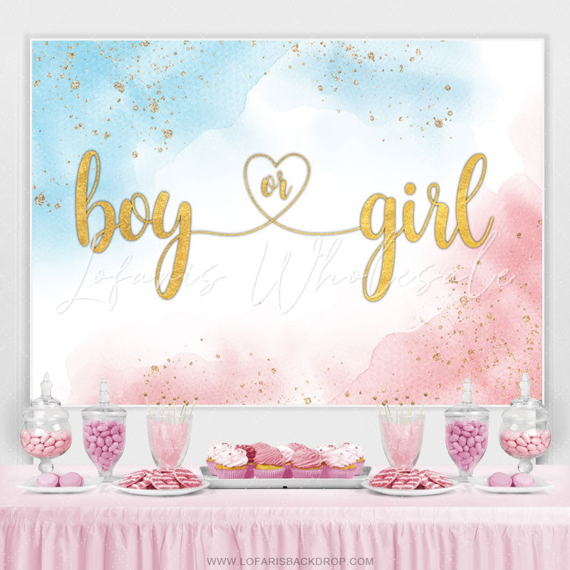 Simple Boy or Girl Gender Reveal Backdrop (x1u)
