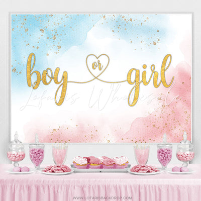 Simple Boy or Girl Gender Reveal Backdrop (x1u)