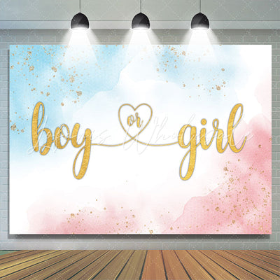 Simple Boy or Girl Gender Reveal Backdrop (x1u)