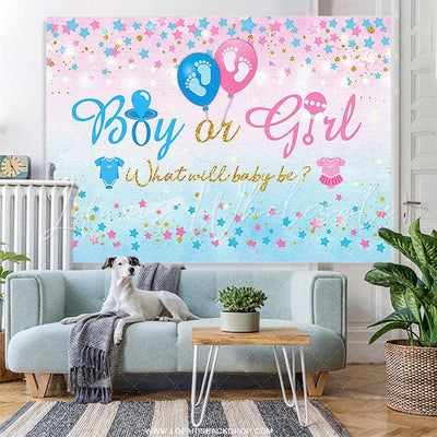 Stars Boy or Girl Gender Reveal Backdrop (x1u)