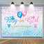 Stars Boy or Girl Gender Reveal Backdrop (x1u)