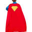 Superman Deluxe Kids Costume