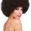Adult Brown Afro Wig